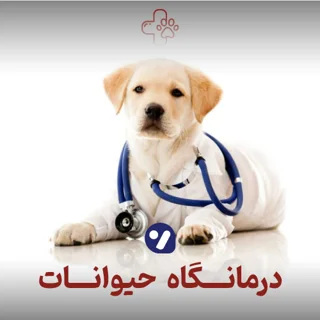 کلینیک « بهترین دوست »